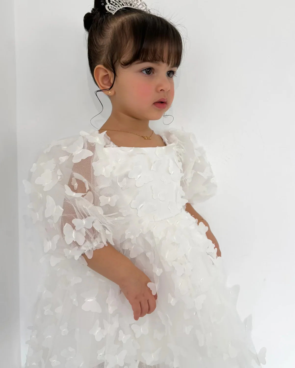 Princess Butterfly Tutu Dress
